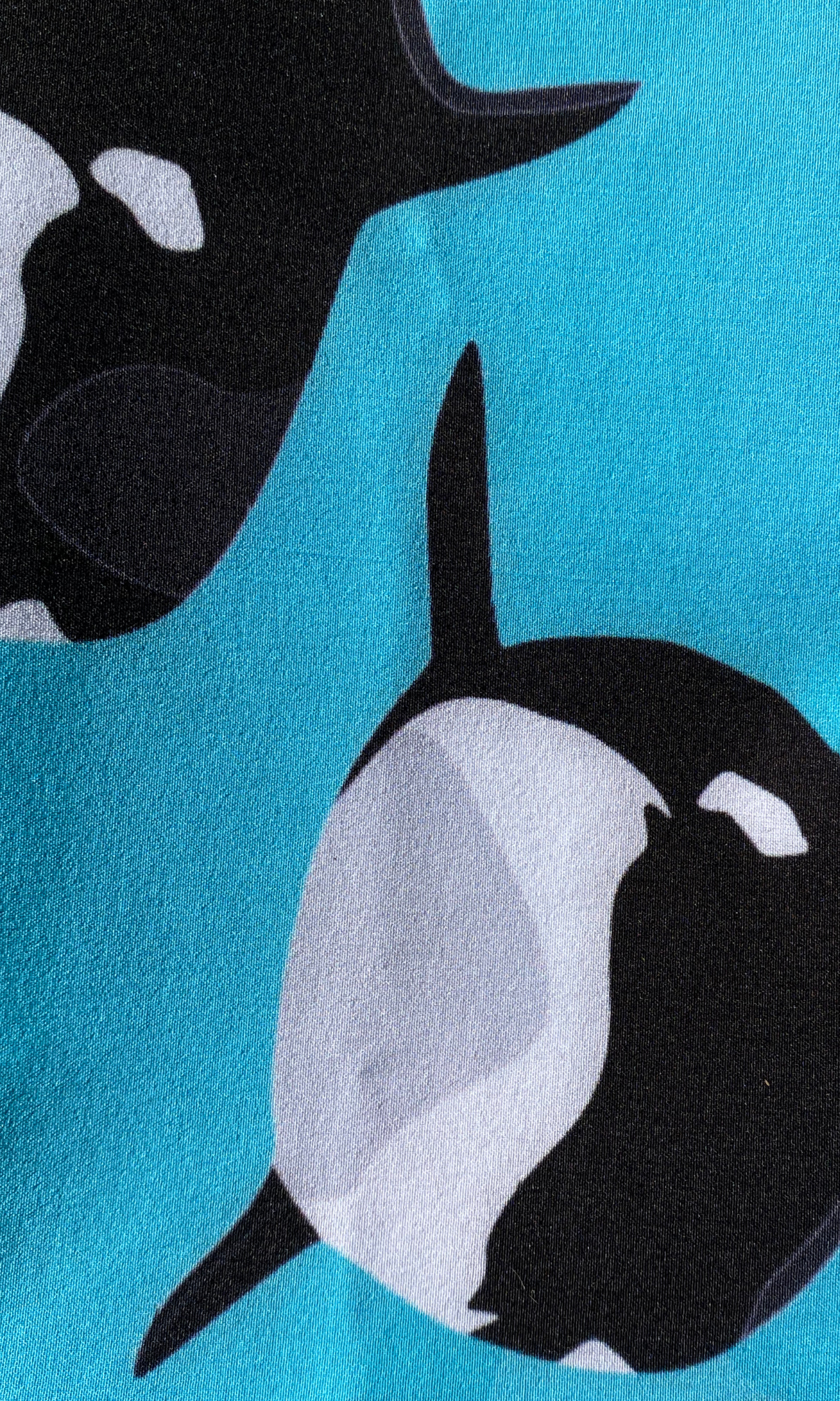 Gorro Quirúrgico Walter the Whale